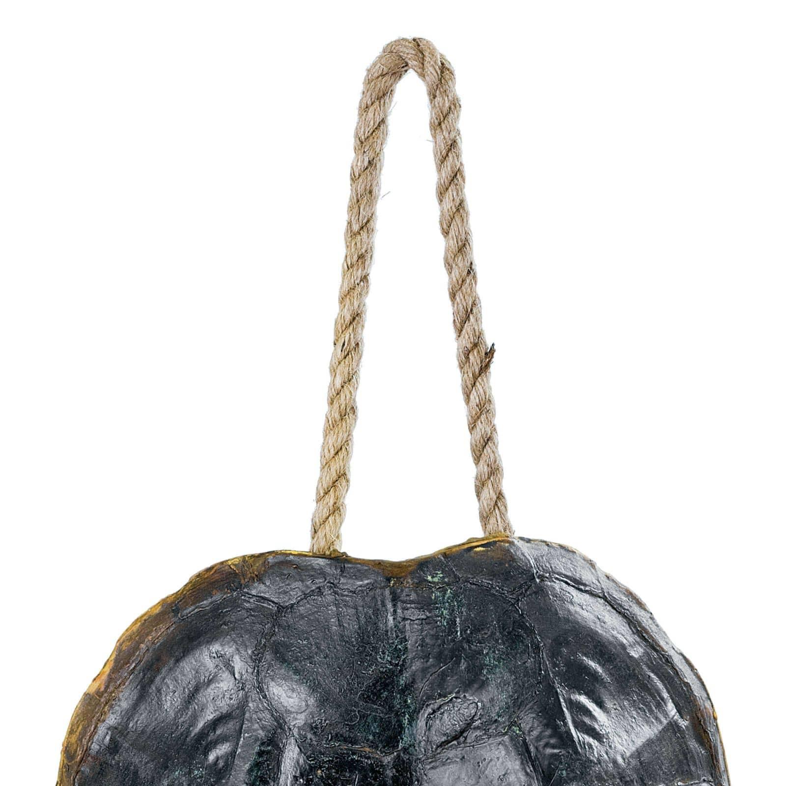 Turtle Shell (Natural) | Regina Andrew Detroit